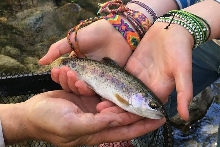 Family Fun Private Half Day Fly Fishing Adventure - Photo 1 of 7